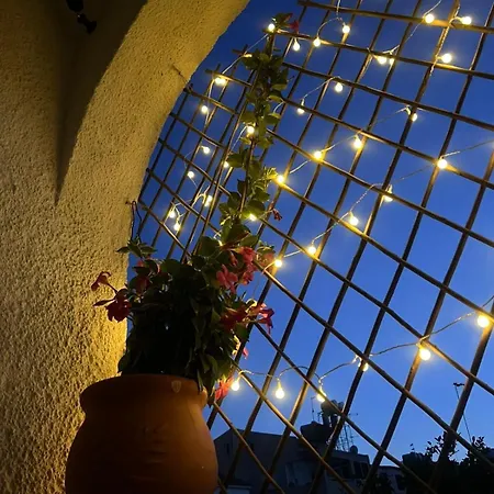 Casi-homes *
