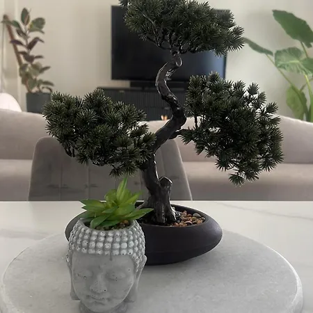 Casi-homes Apartment *